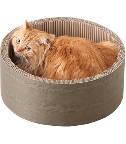 ぎねこ丸 Amazon | カインズ(CAINZ) Pet'sOne 猫のつめとぎ 丸型 交換用